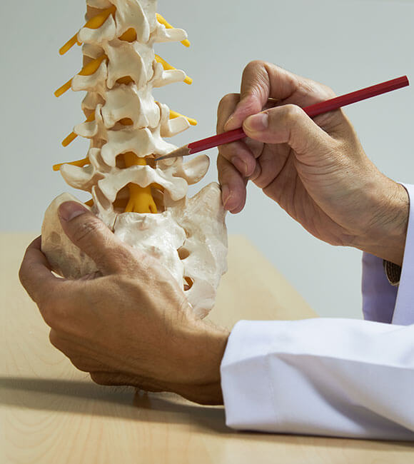 doctor pointing at spine with pencil